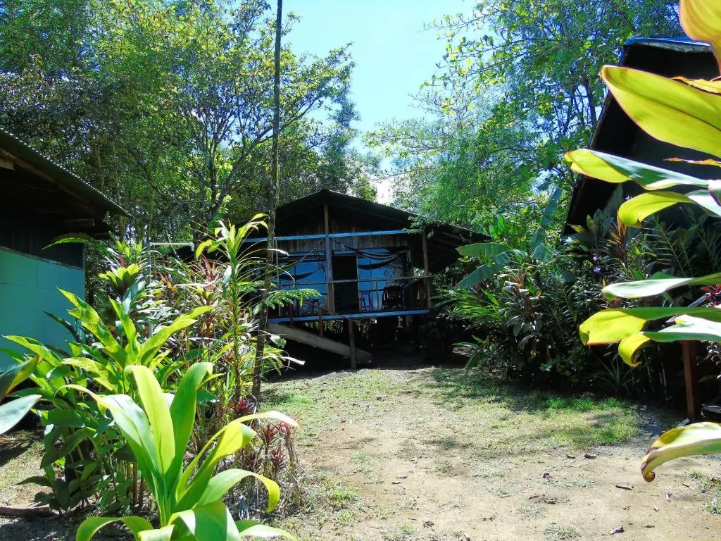 Bungalow with sea view