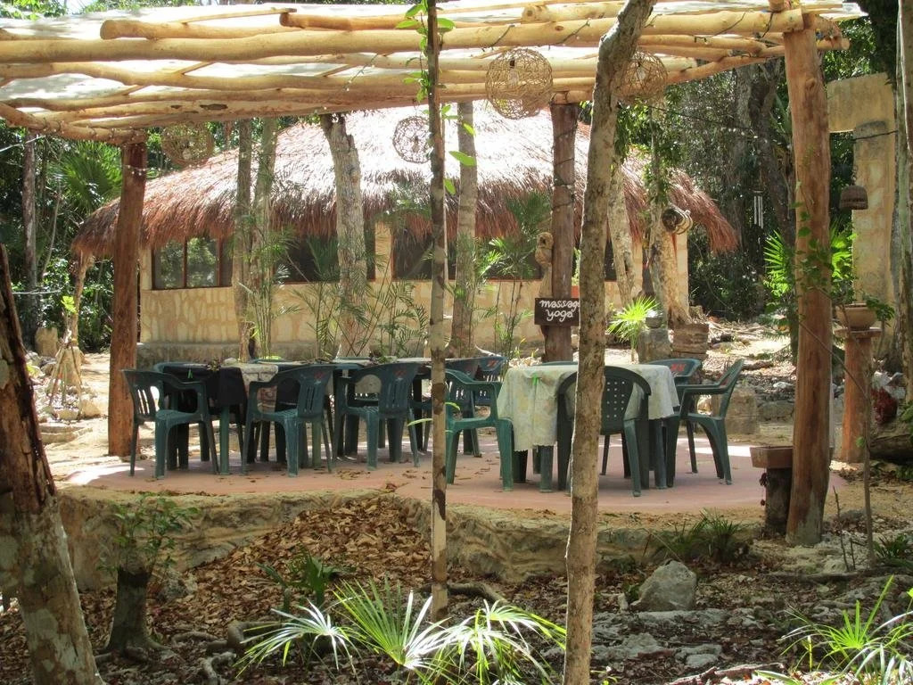Organic Yoga Mexico