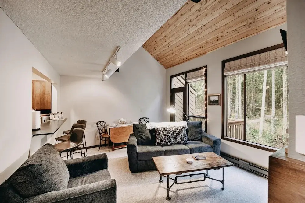 Condo - Pets OK - Fireplace, Sleeps 4!