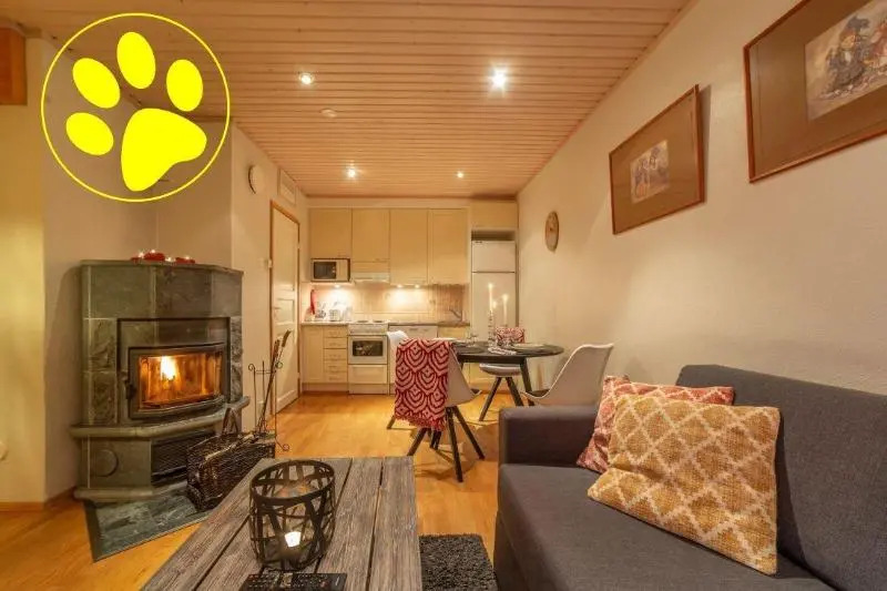 Kuukkeli Apartments Suite