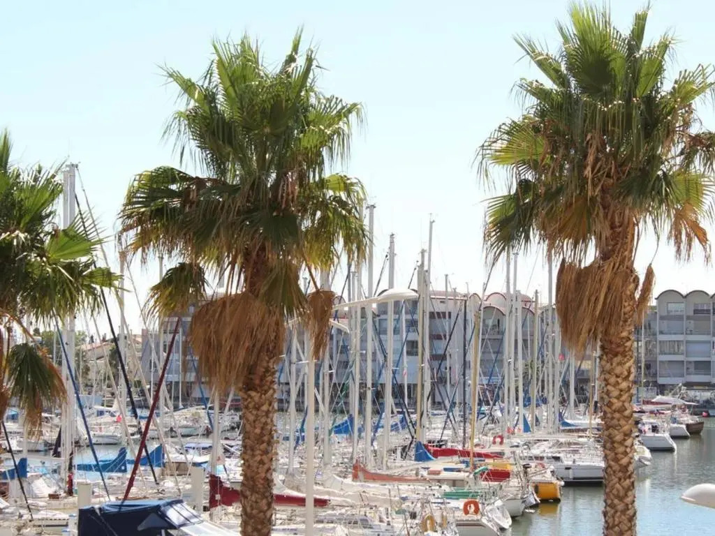 Appartement Gruissan, 1 pièce, 4 personnes - FR-1-229-71