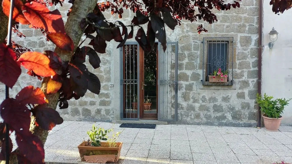 B&B Paternocchio