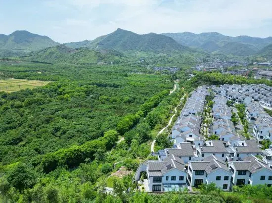 three trees single villa