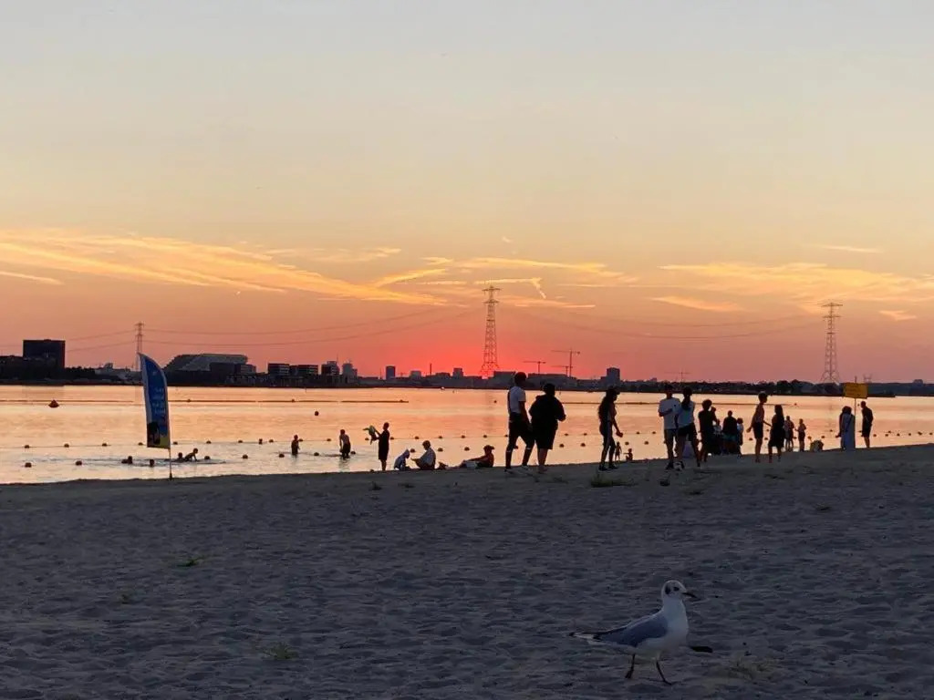 The Water Studio