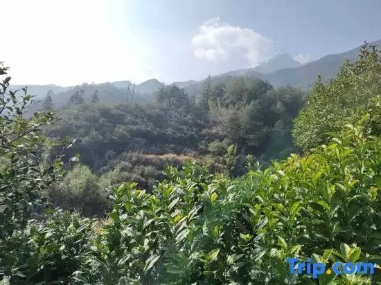 Yunjin Mountain Villa · Cloud Sky Retreat