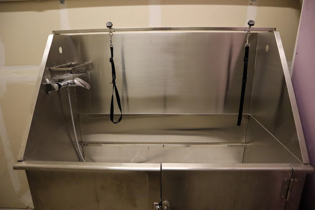 Bright & Recently Upgraded 2BR Apartment