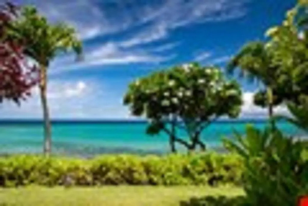 Kuleana Resort 403