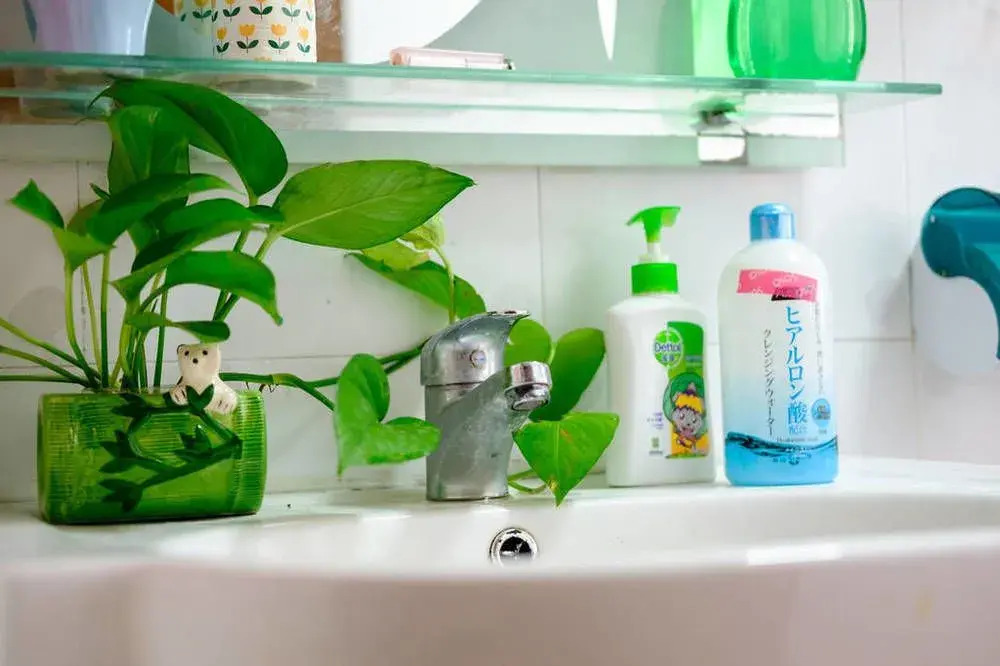 You Hostel Shenzhen - Adults Only