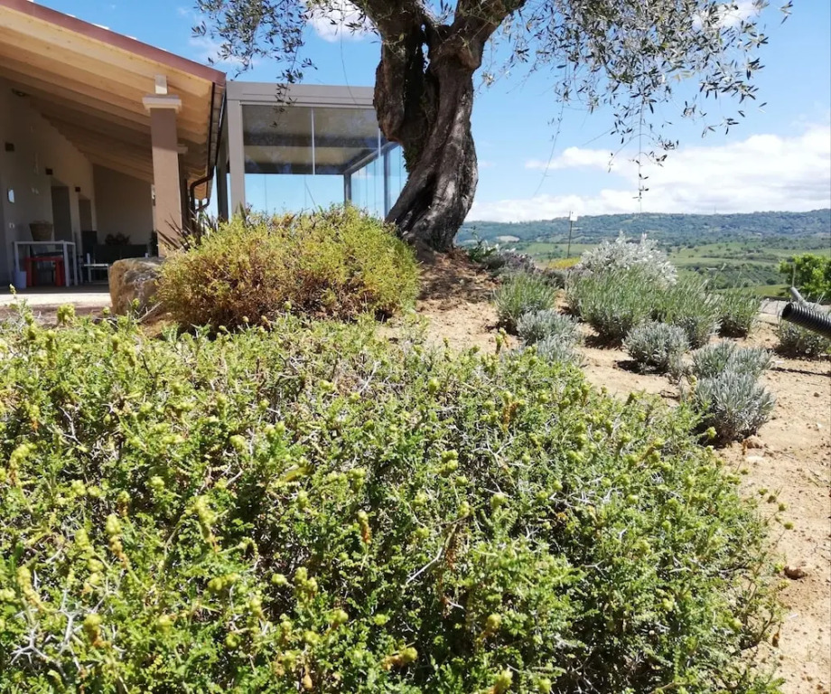 Agriturismo Le Piccole Macìe
