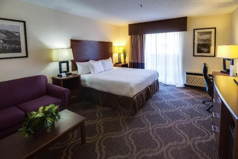 Holiday Inn Lubbock South