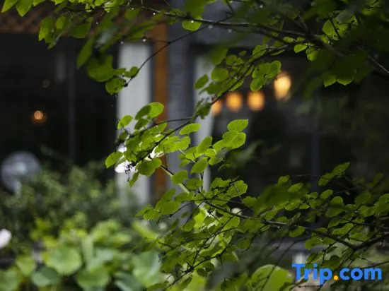 Wuxi Dayin Mountain Residence Garden Homestay