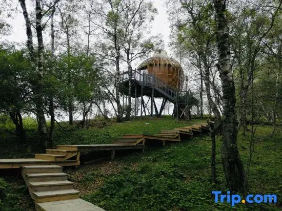 Guanshan Prairie Huaxi Sushang Tree House Hostel