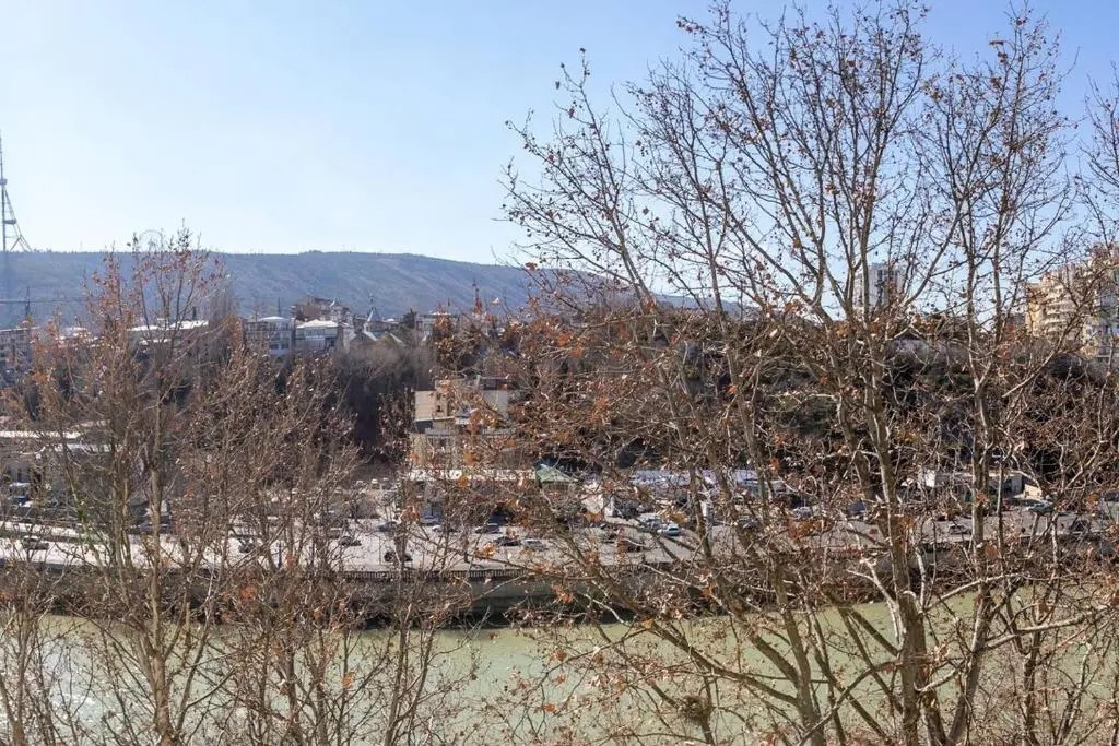 Wehost Apartment Close to Agmashenebeli
