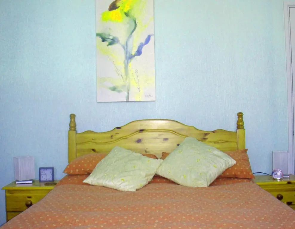 Harlequin Guest House with parking