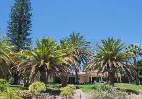 Punta Negra
