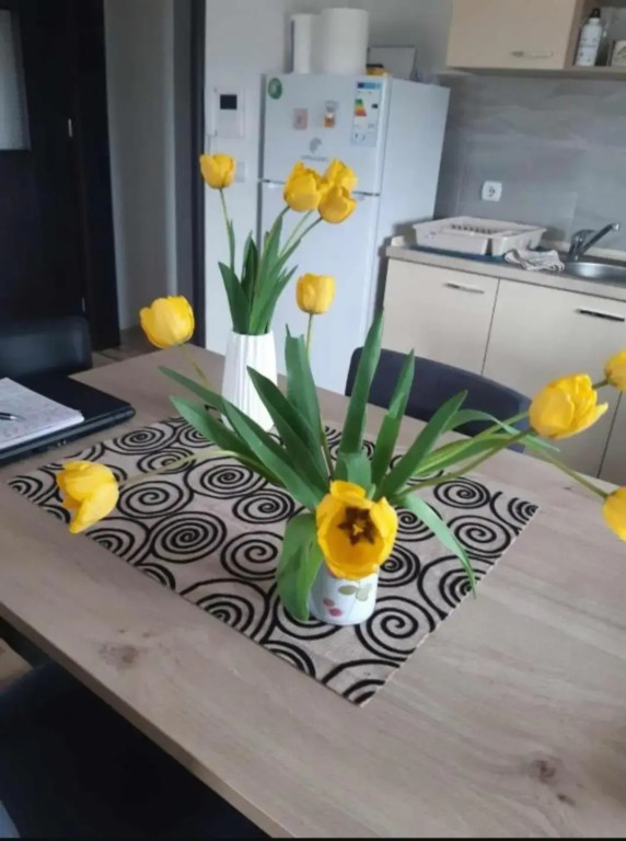 Apartments Josif