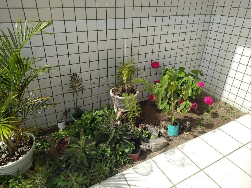 Apartamento 2 Quartos Mobiliado - Garanhuns - PE
