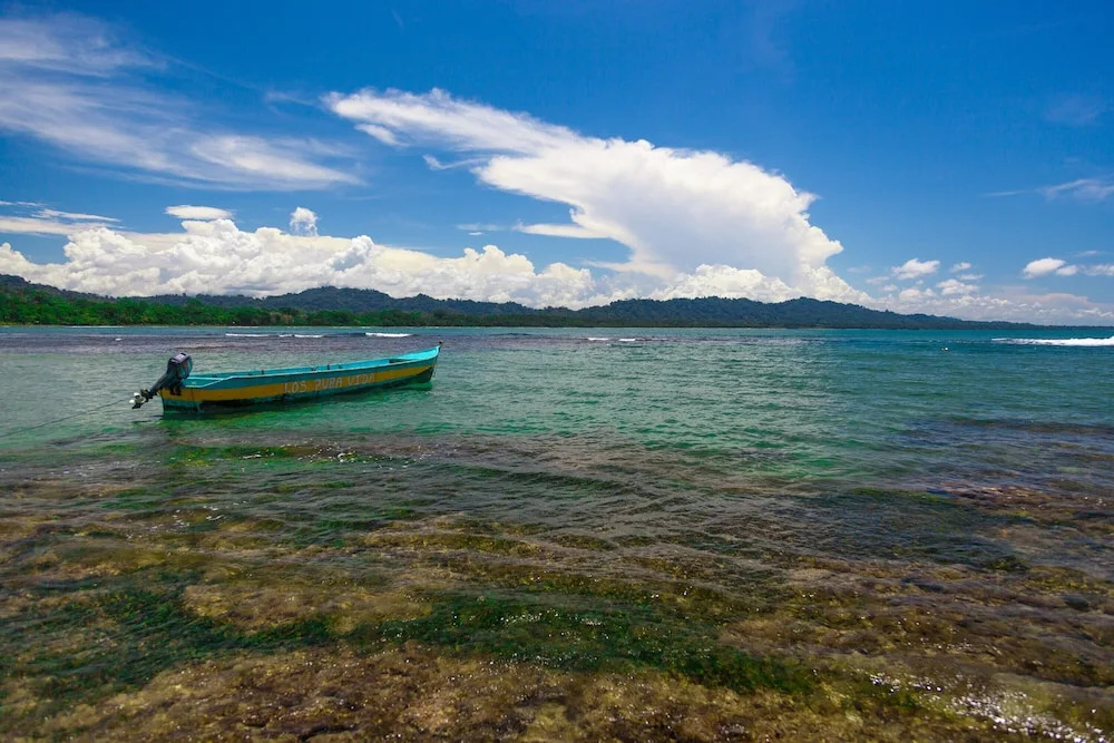 Gigi Brown Suites Puerto Viejo