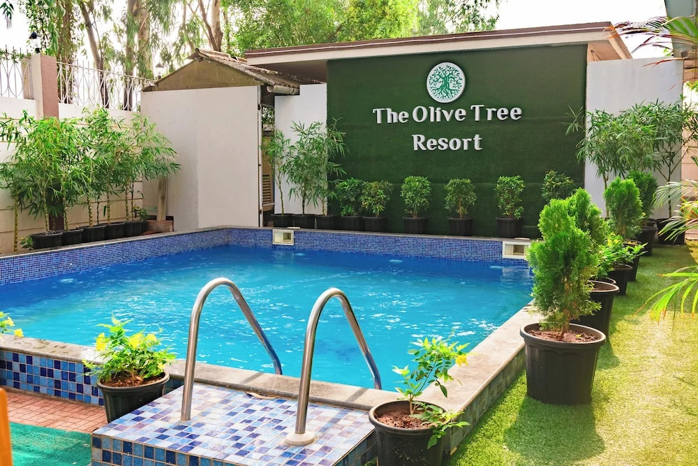 Olive Tree Resort