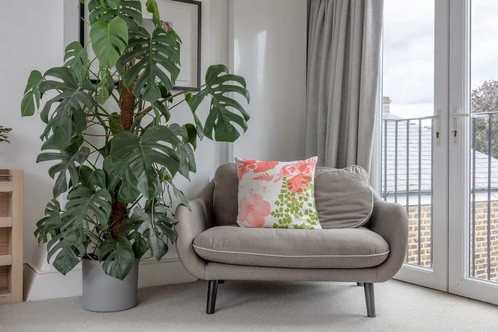Family House in Peckham With Garden