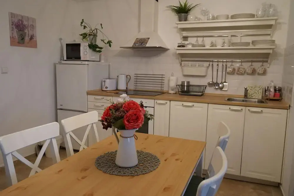 Apartment Boroví