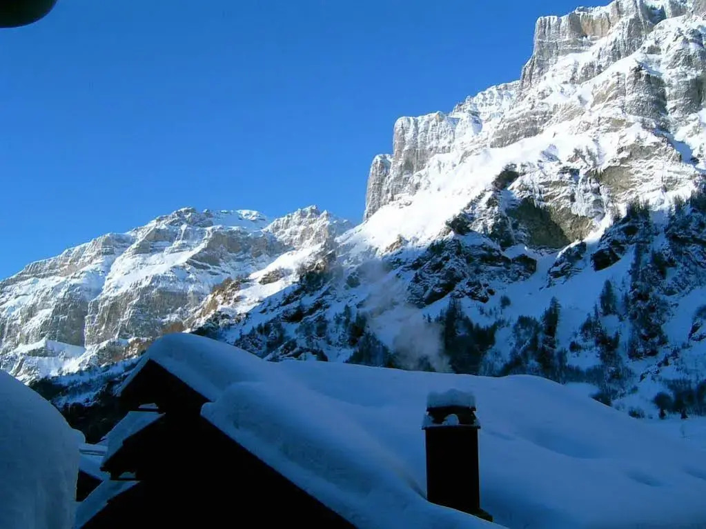 Apartments Steinbock - Mountain Views & Central Location