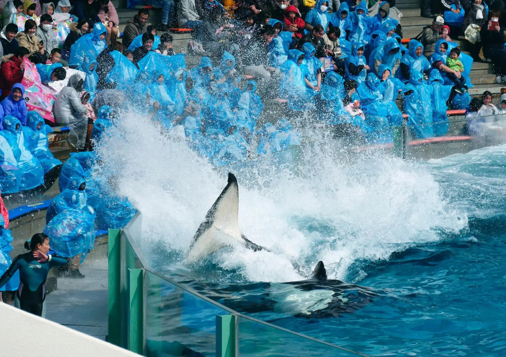 Kamogawa Sea World Hotel