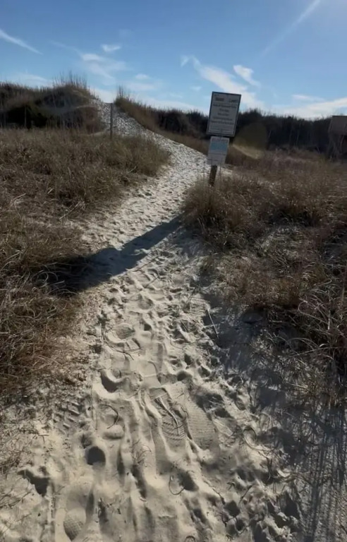 Seaglass Scapes in Oak Island