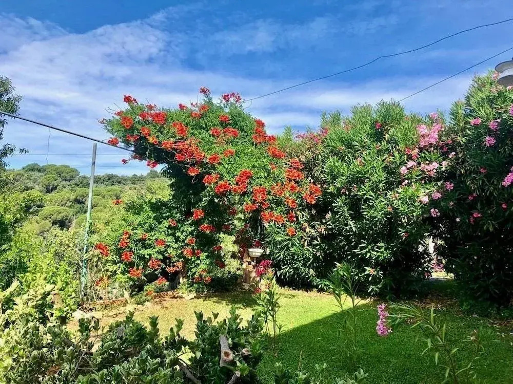 La Polveriera Home