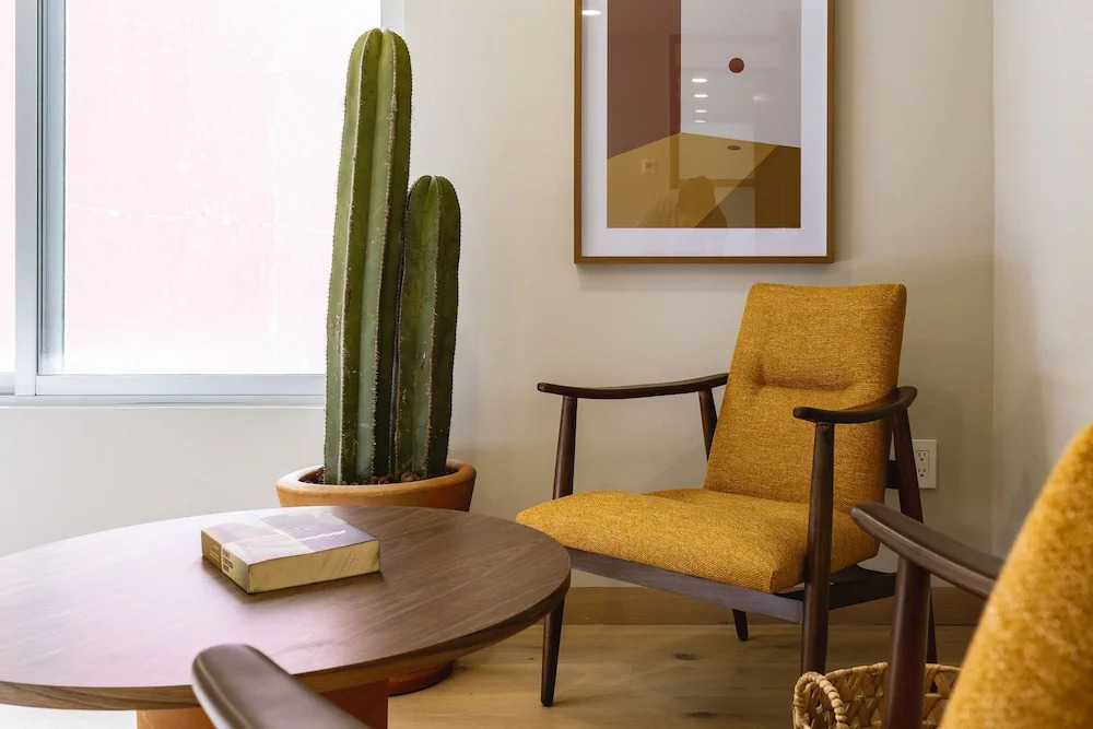Incredible and Spacious 2BR 2BA Apt in Polanco