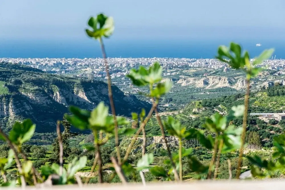 Muses: Panoramic View, Close To Historical Sites