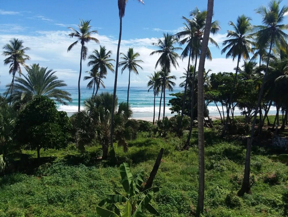Oasi Encantada - Beach Resort