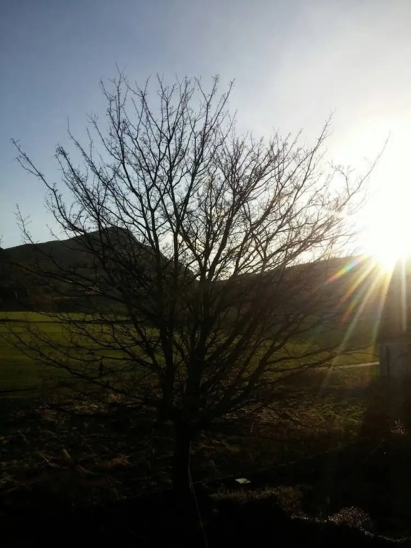 Spacious 2 Bedroom Holyrood Flat With Great Views