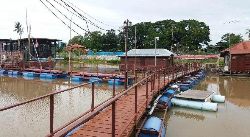 Payamai