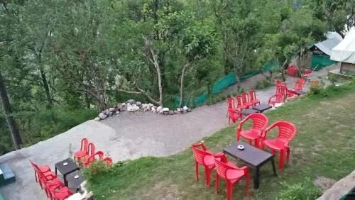 Mogli Camps