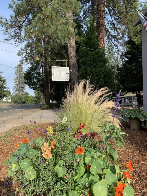 The Pines Inn and Cottages