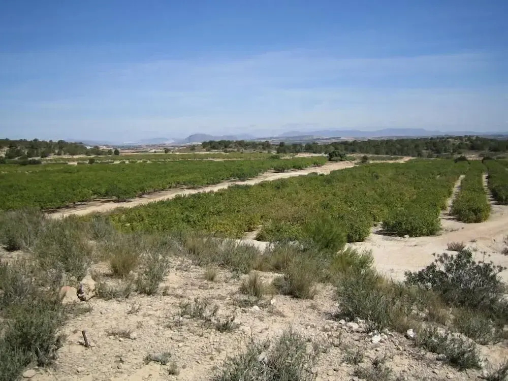 Casa Choupa - Villamartin Golf