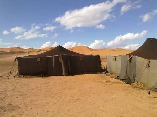 Bed And Breakfast And Desert Tours Camp