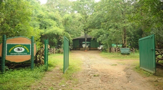 Jungle Lodges And Resorts- Sakrebyle Elephant Camp
