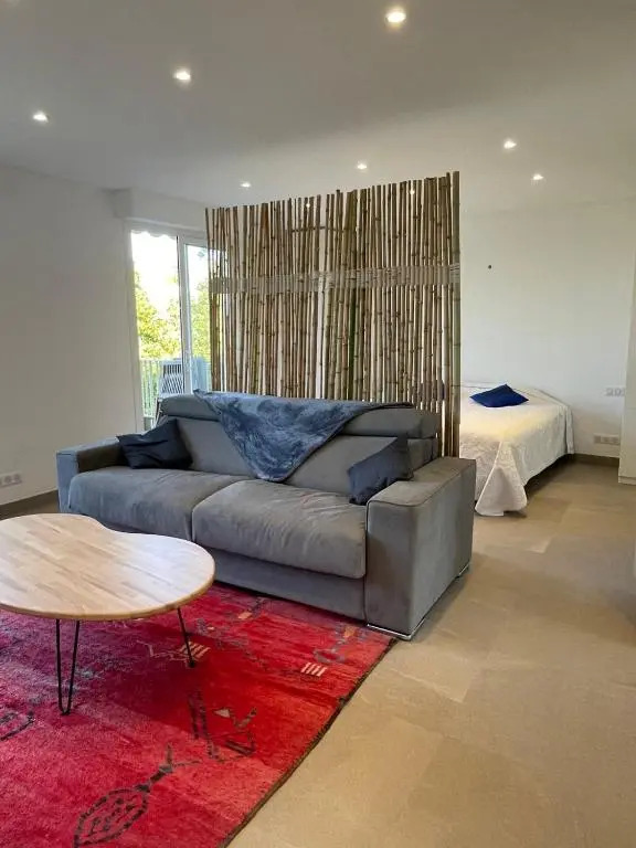 Bnb Renting Le Cèdre Spacious Studio In Cannes With A Balcony Wifi And Ac