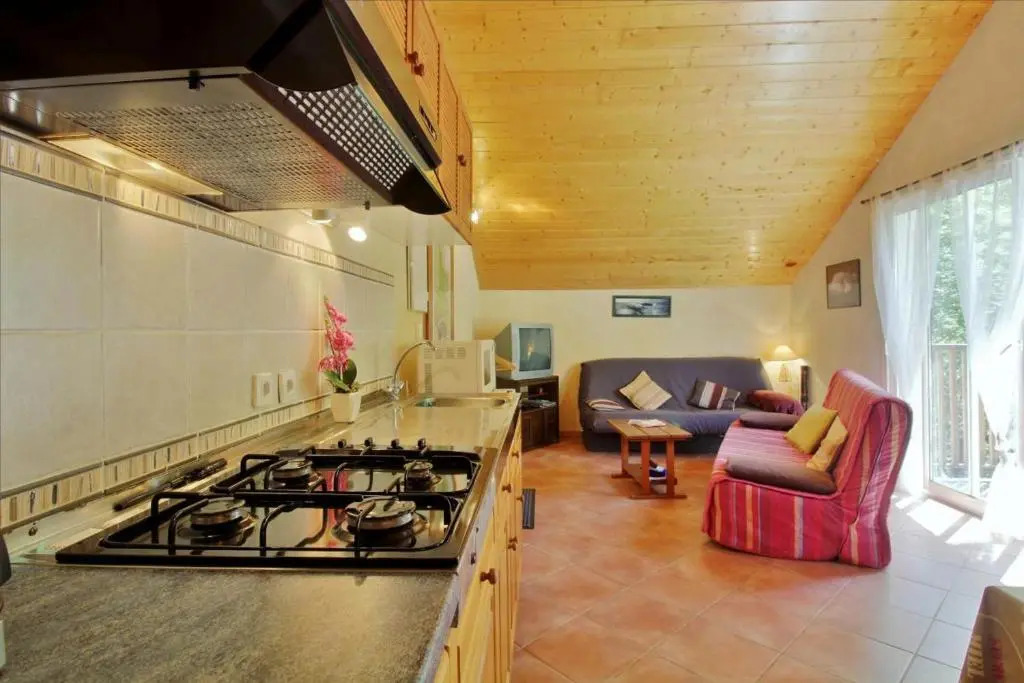 Appartement à la montagne