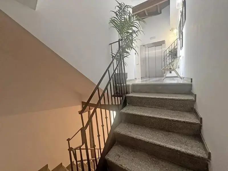 Estudio Real Suites 3000