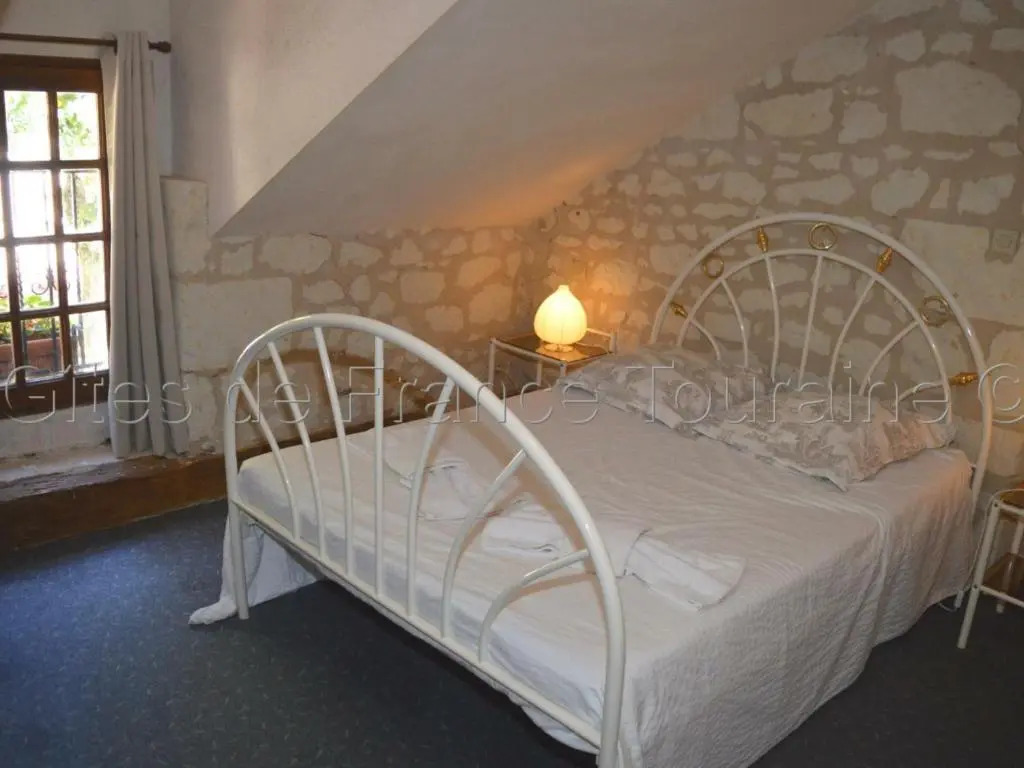 Gîte Ligré, 8 pièces, 15 personnes - FR-1-381-129