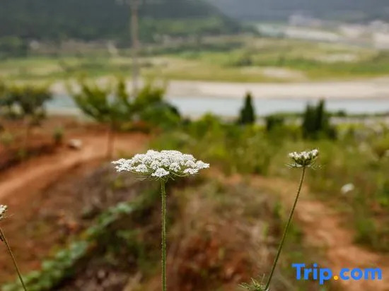 Zhanyu Shanju·Jiangjing Designer Homestay