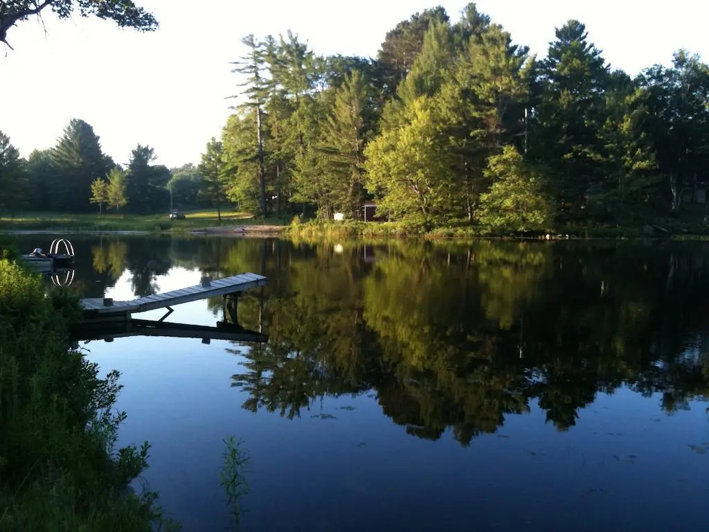 Pine Grove Cottages