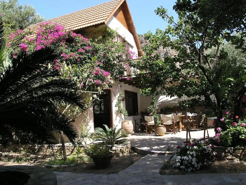 Olive Tree Cottages