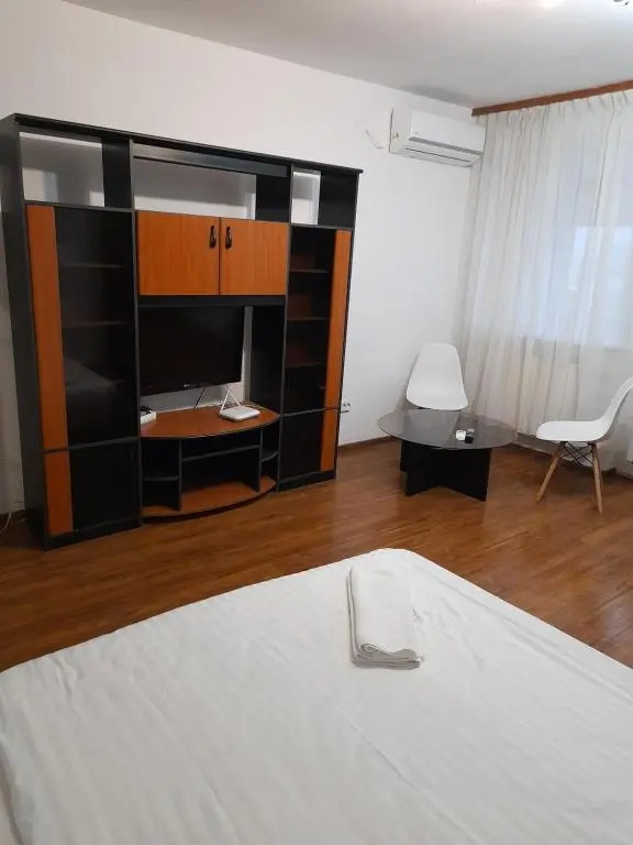 Bega Circumvalatiunii 1 Room Apartment - 3
