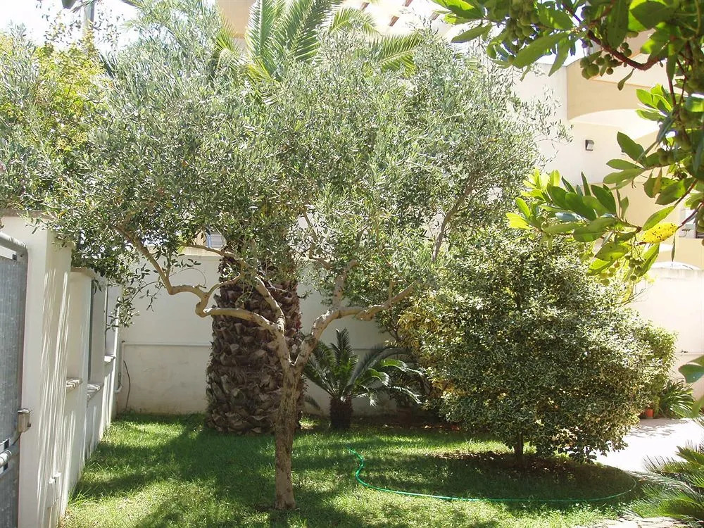 Residenza Del Sole