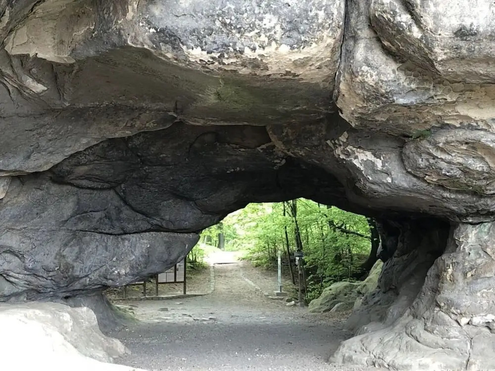 "weinberg Uitzicht" in het Felix Huis