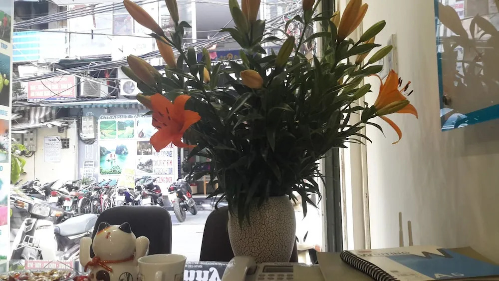 Vietnam Glamor Homestay & Travel